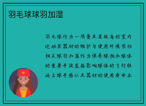 羽毛球球羽加湿