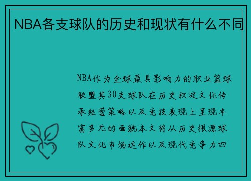 NBA各支球队的历史和现状有什么不同